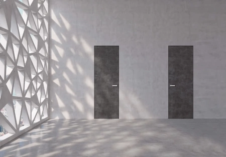 BARAUSSE Secret реплика скрытых дверей